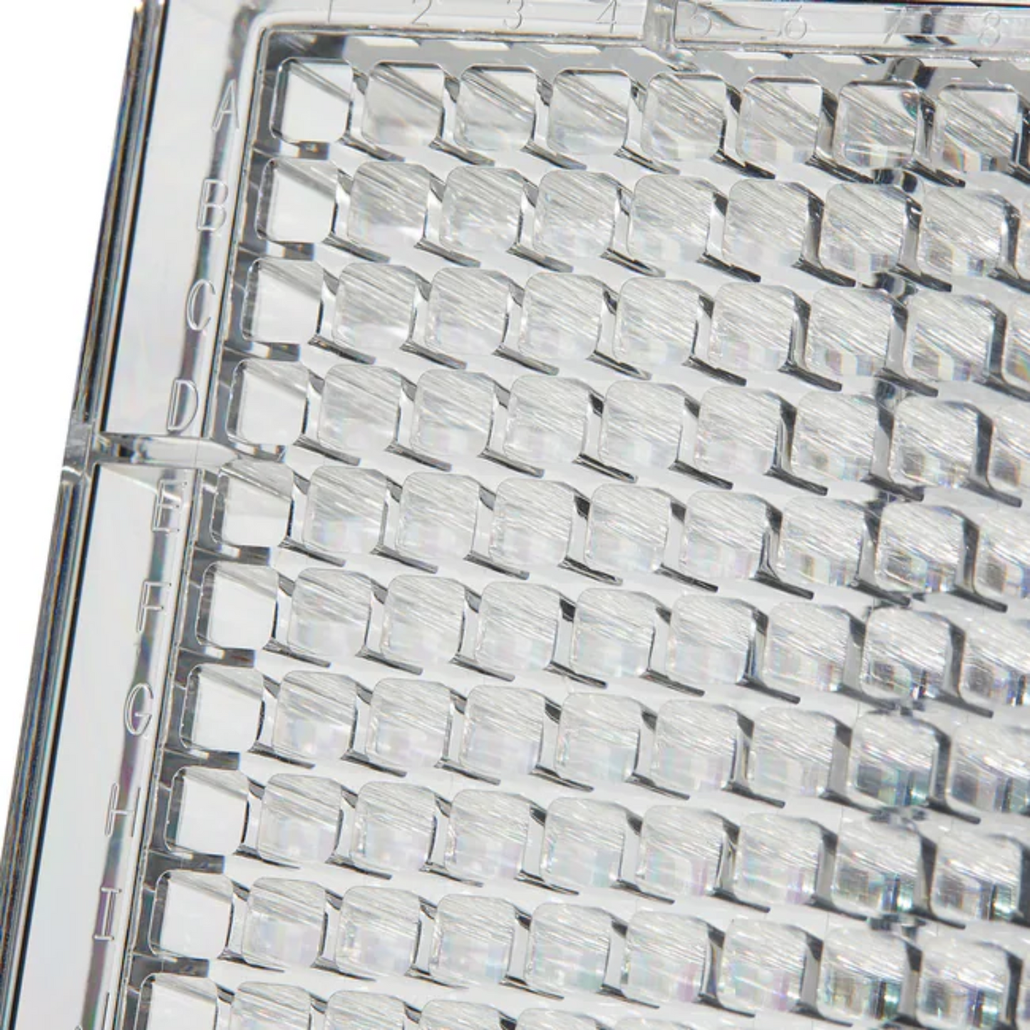 Thermo Scientific™ Clear Flat-Bottom Immuno Nonsterile 384-Well Plates, Pack of 30 (464718)