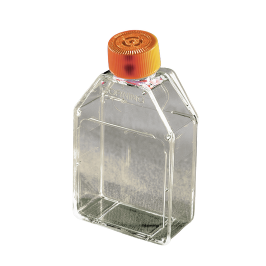 Corning 25cm² Rectangular Canted Neck Cell Culture Flask with Vent Cap, Pack of 200 (430639)
