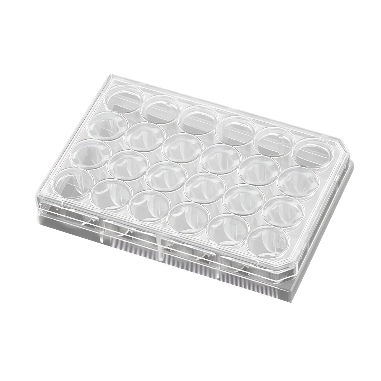 Falcon Polystyrene Tissue Culture Plate, 24 Well, Flat Bottom, Pack of 50, (353047)