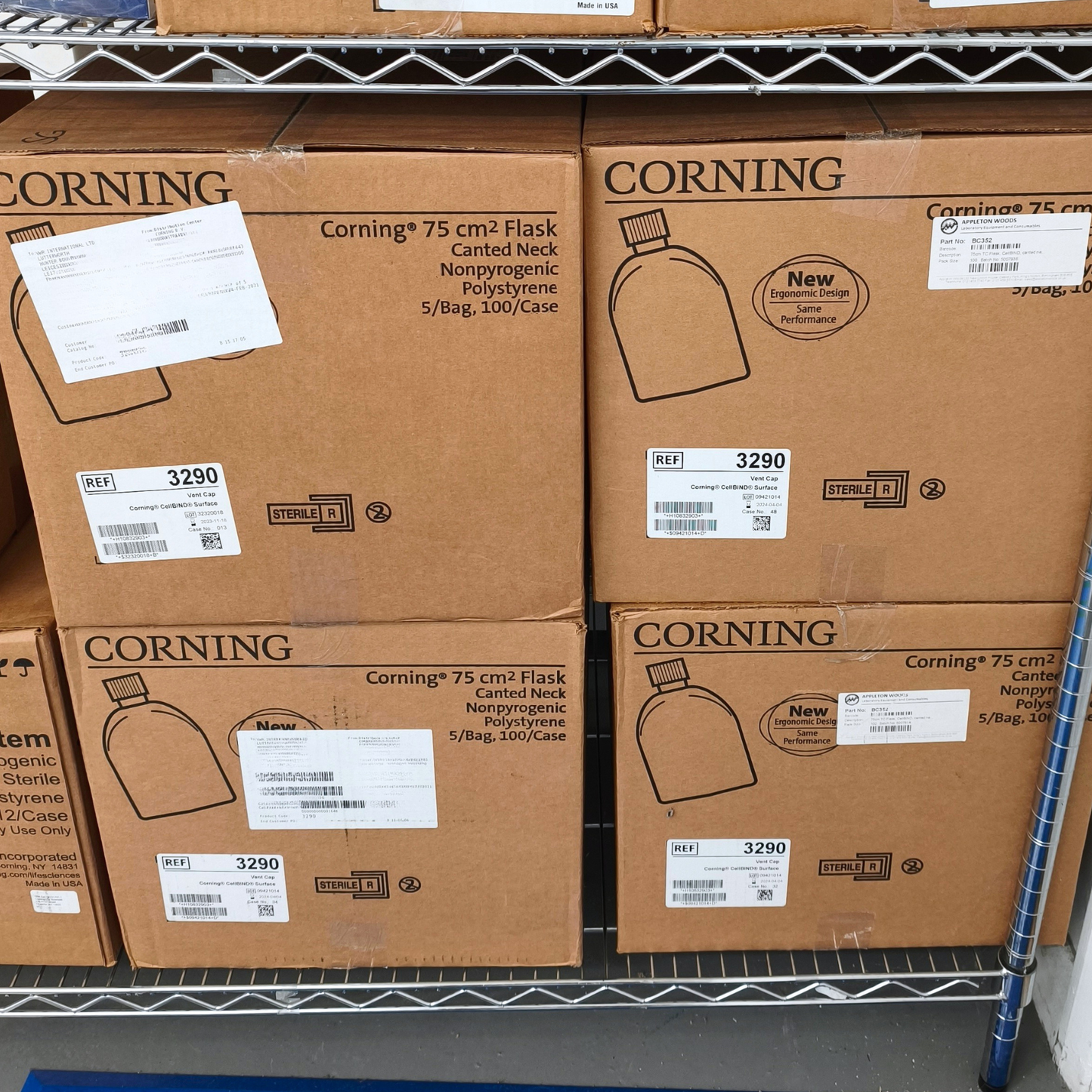 4x Corning™ CellBIND™ 75cm2 Surface Cell Culture Flasks, Canted Neck