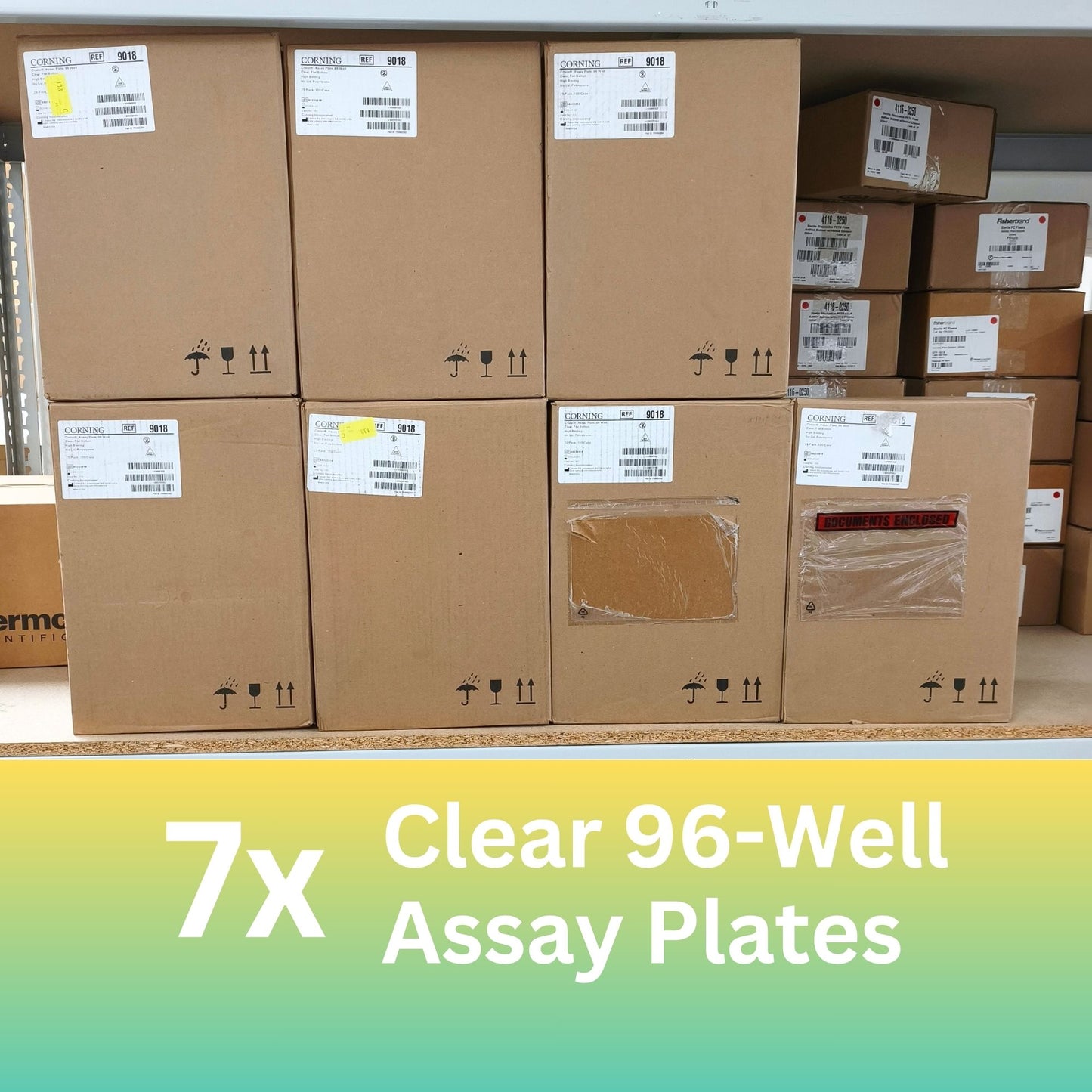 7x Cases of Clear 96-Well 200 μL Assay Plates
