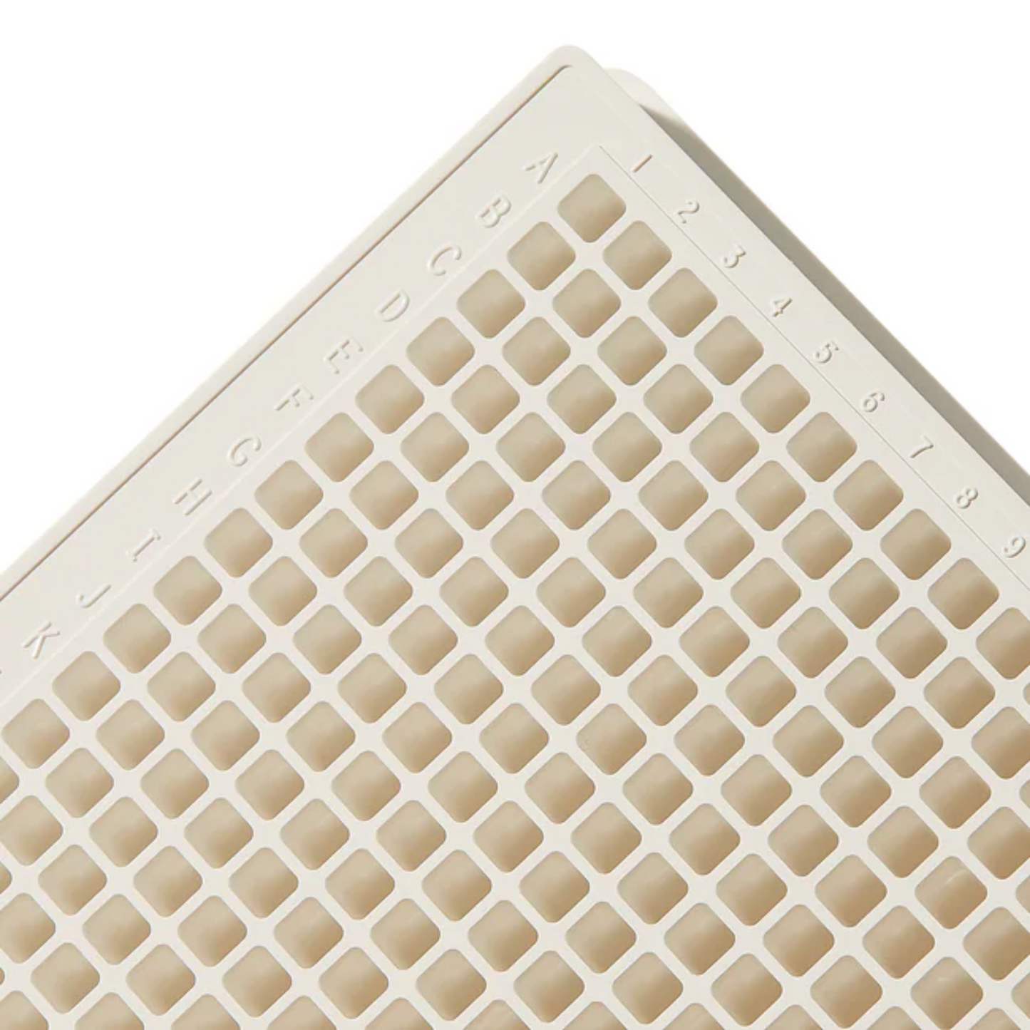 Thermo Scientific™ White 384-Well Immuno Plates, Pack of 10 (460372)