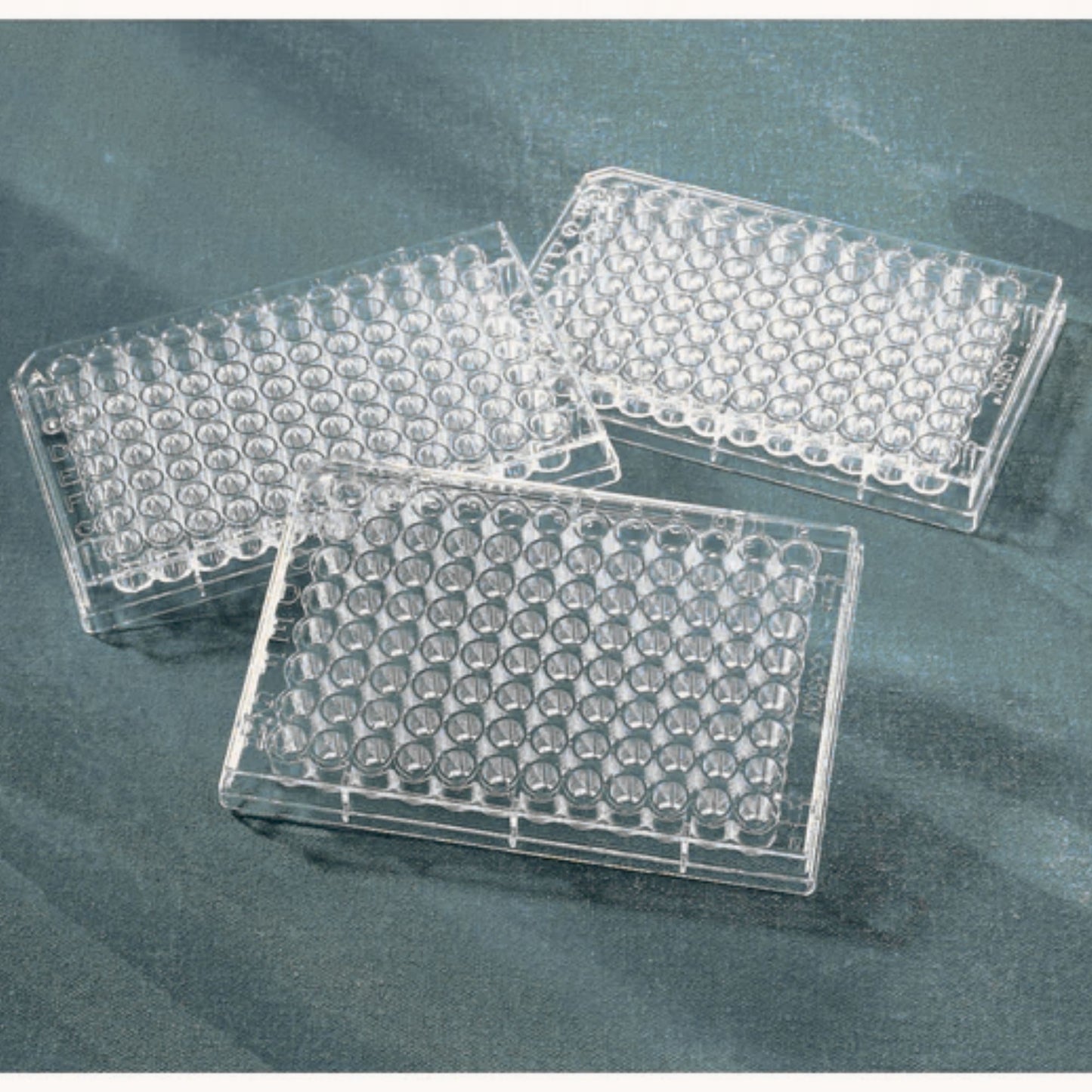 7x Cases of Clear 96-Well 200 μL Assay Plates