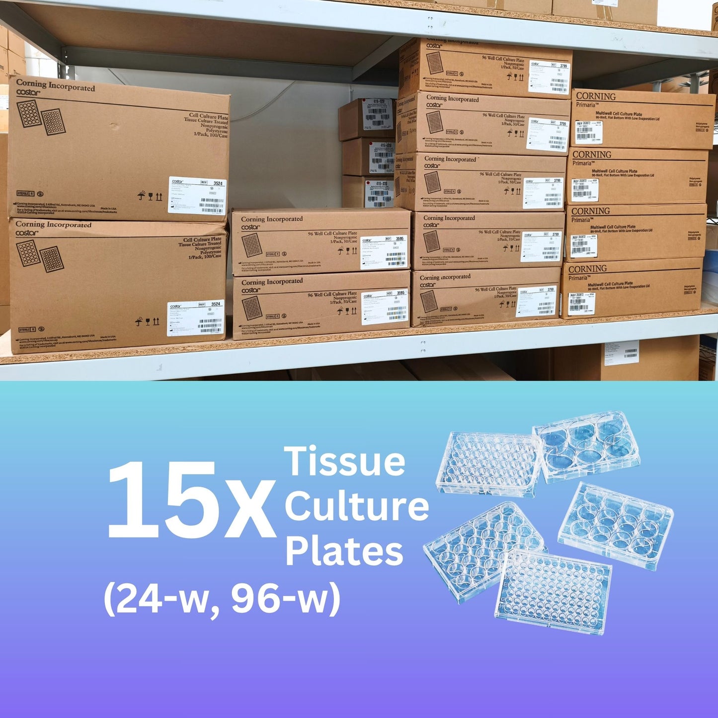 15x Cases of Cell Culture Plates (24-Well, 96-Well)