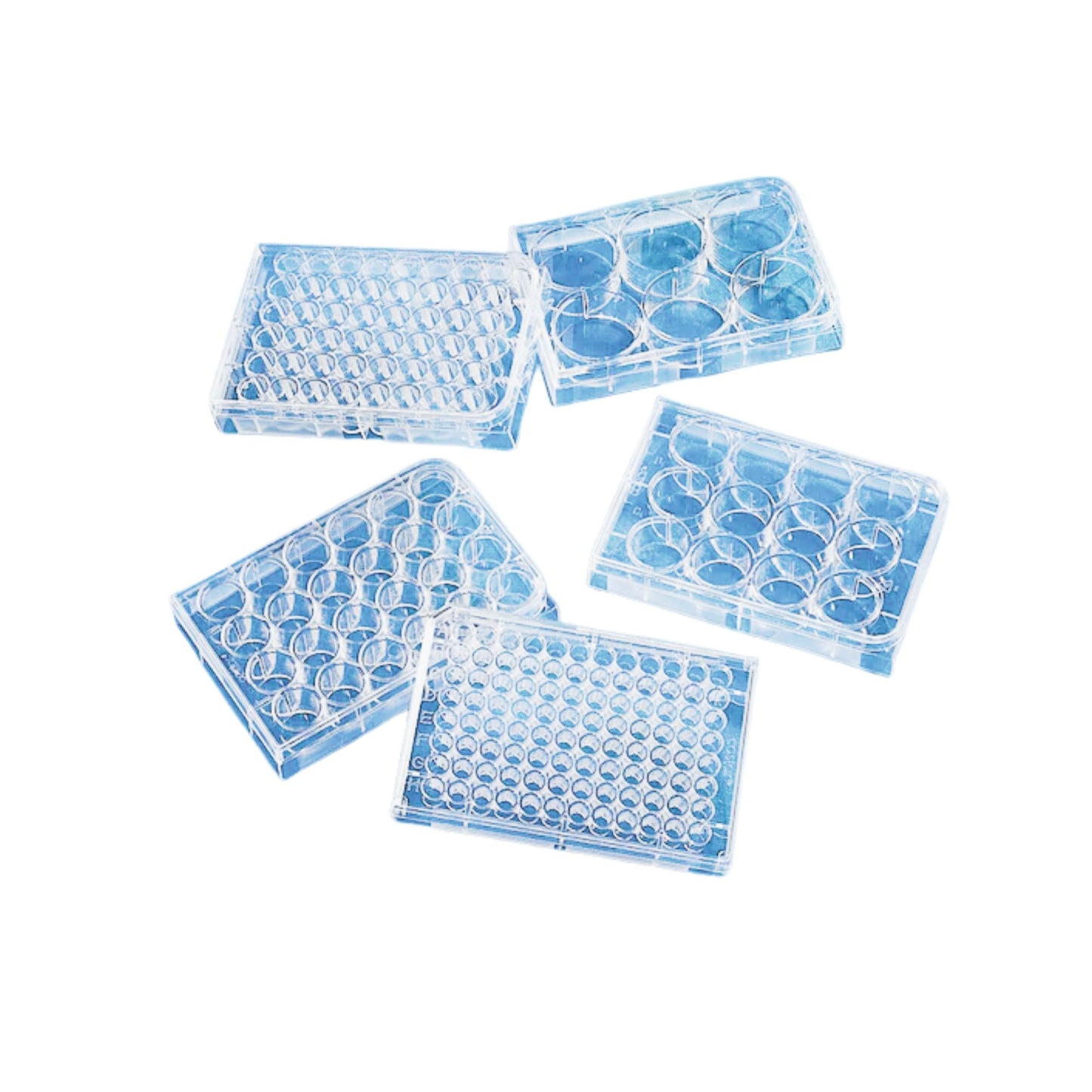 15x Cases of Cell Culture Plates (24-Well, 96-Well)