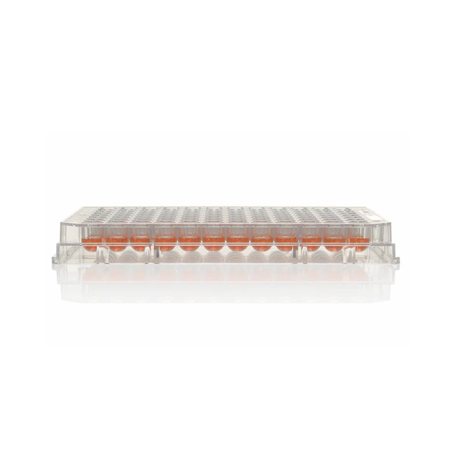 Thermo Scientific, Nunc MicroWell, 96 Well Plate, Non-Treated Surface ...