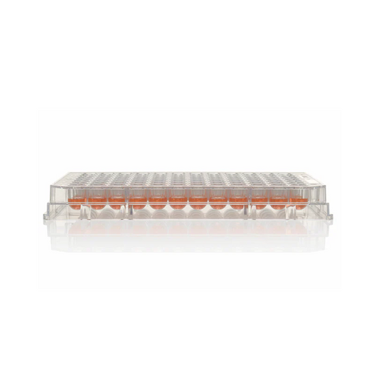 Thermo Scientific, Nunc MicroWell, 96 Well Plate, Non-Treated Surface, No lid, Non-sterile, Pack of 60 (269620)