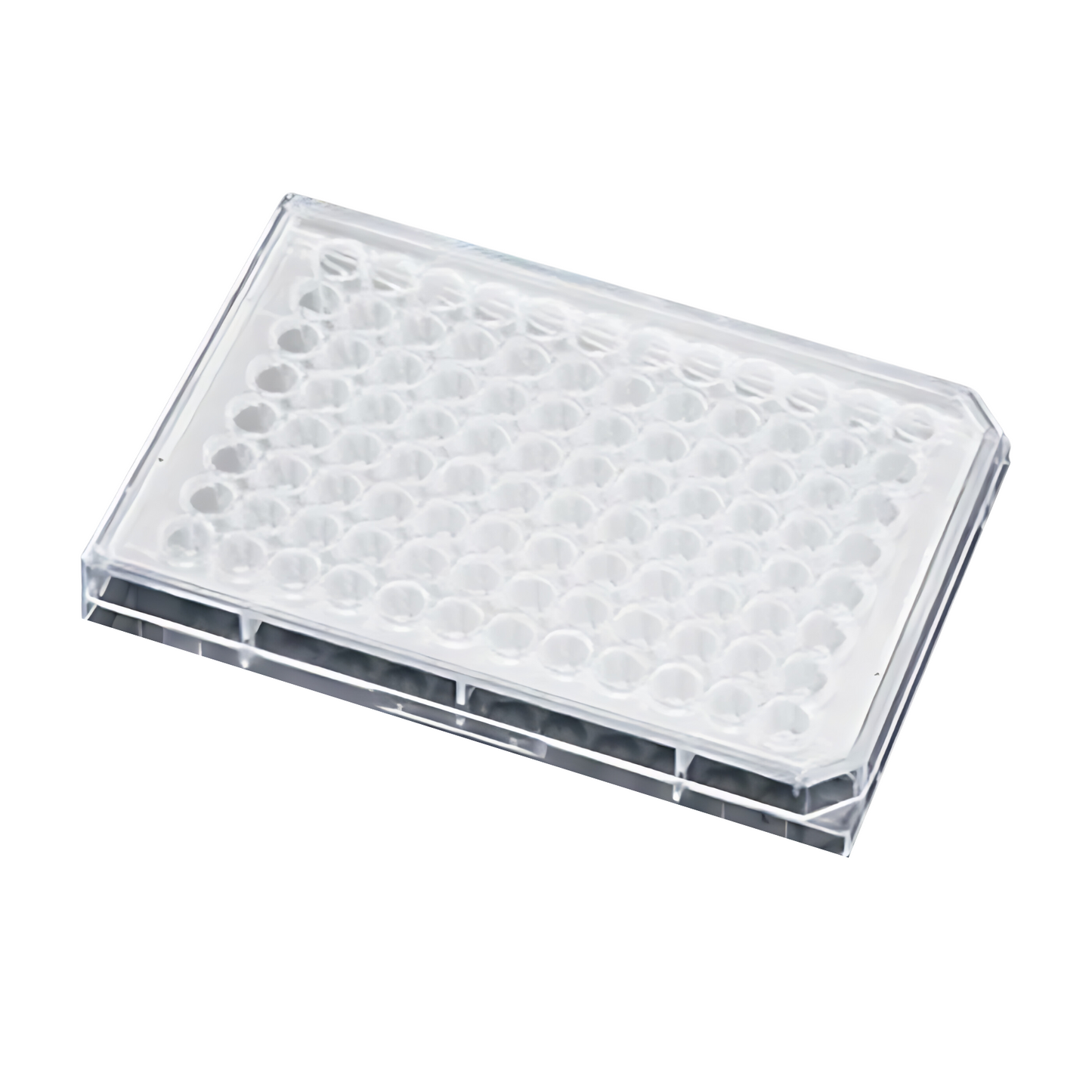 Falcon 96-Well, Tissue Culture-Treated, U-Shaped-Bottom Microplate, Pack of 50 (353077)