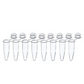 Strips of 8 PCR Tubes PP 0.2ml with single caps, (Overpack of 5 x 120) (781332)
